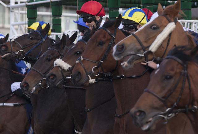 Alan Dudman is hoping for a good start to the week with his two selections 